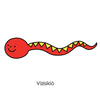 Vízisikló