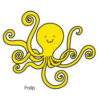 Polip