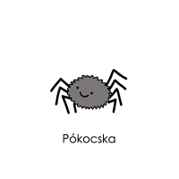 Pókocska