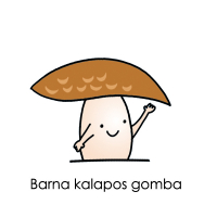 Barna kalapos gomba