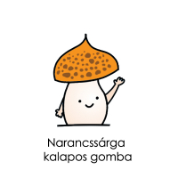 Narancssárga kalapos gomba