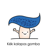 Kék kalapos gomba