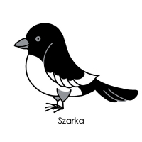 Szarka